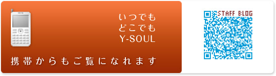 画像(559x154)